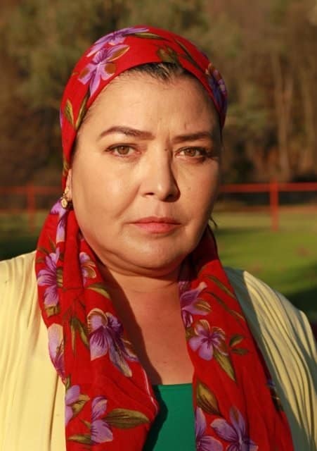 aydan burhan hicran dizisi